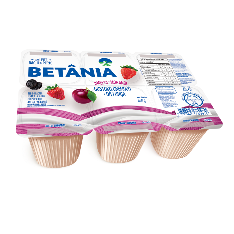Bebida Láctea Ameixa e Morango